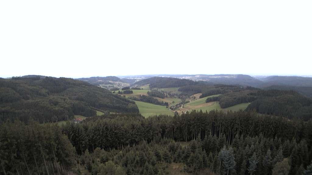 Bildstein forest Webcam