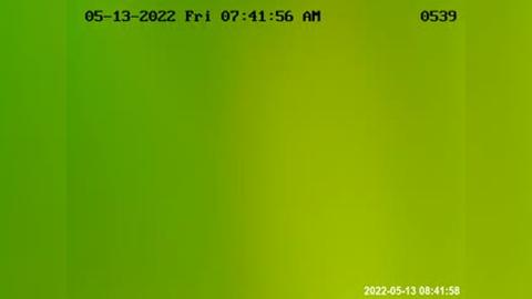 Traffic Cam Davie: -CCTV