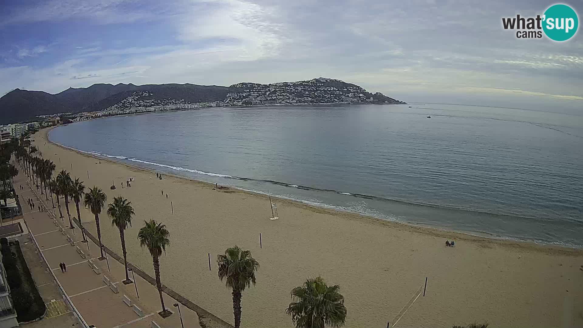 Webcam Roses 8 Ampliar imagen