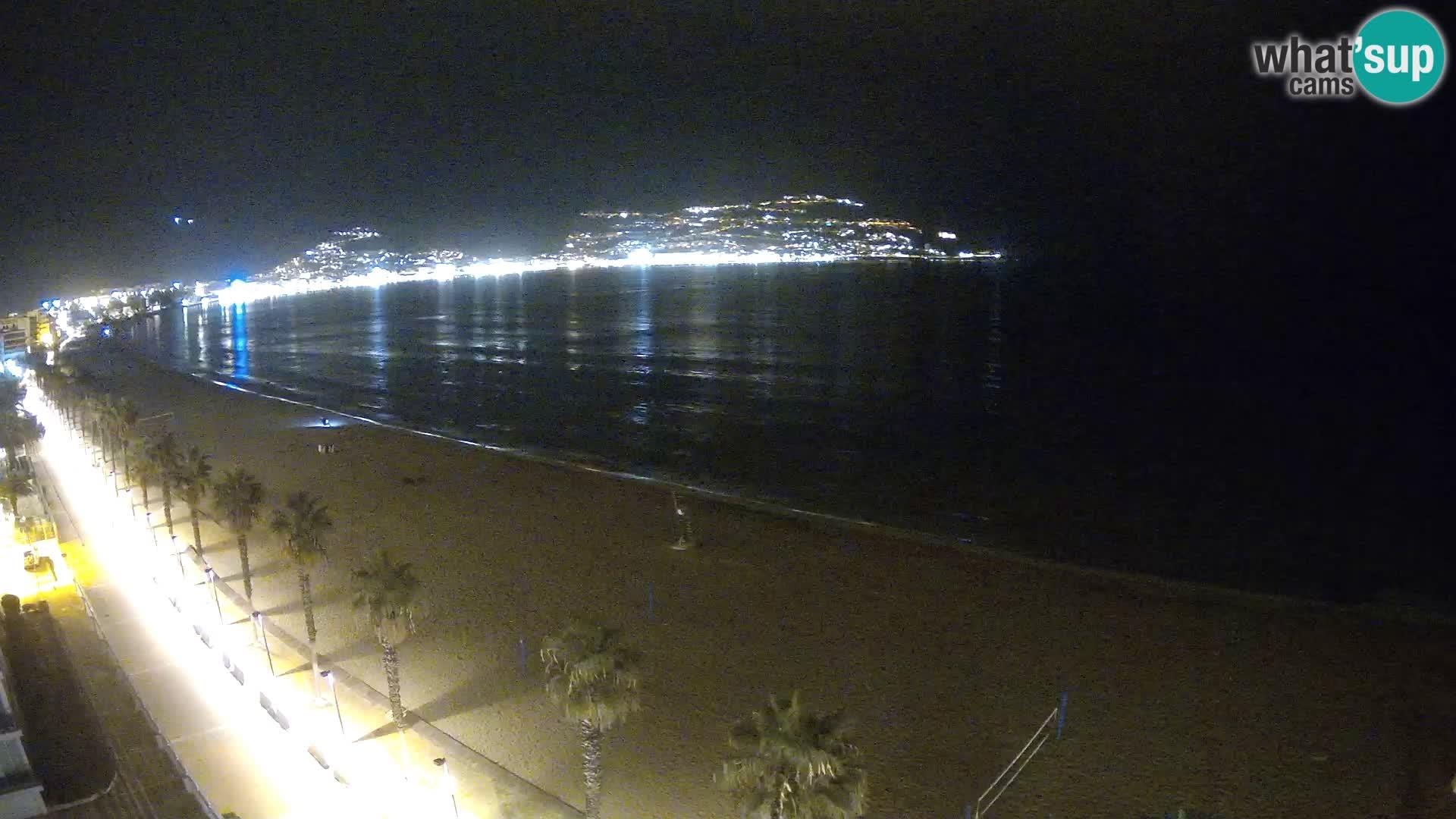 Webcam Roses 8 Ampliar imagen