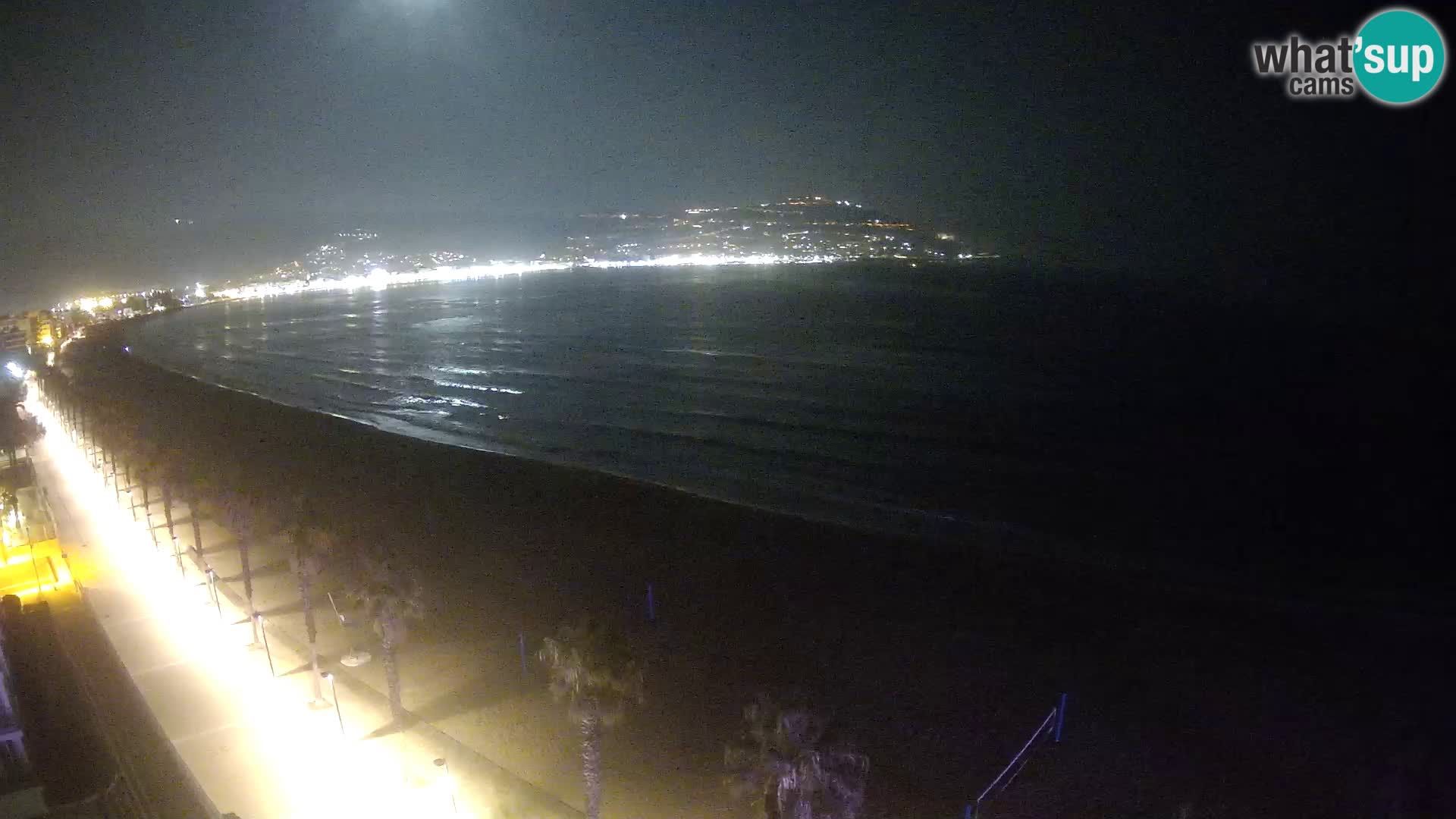 Webcam Roses 8 Ampliar imagen