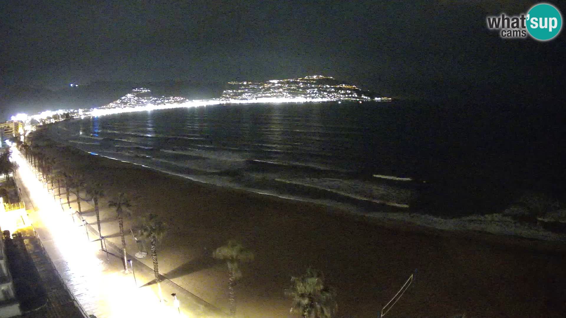 Webcam Roses 8 Ampliar imagen