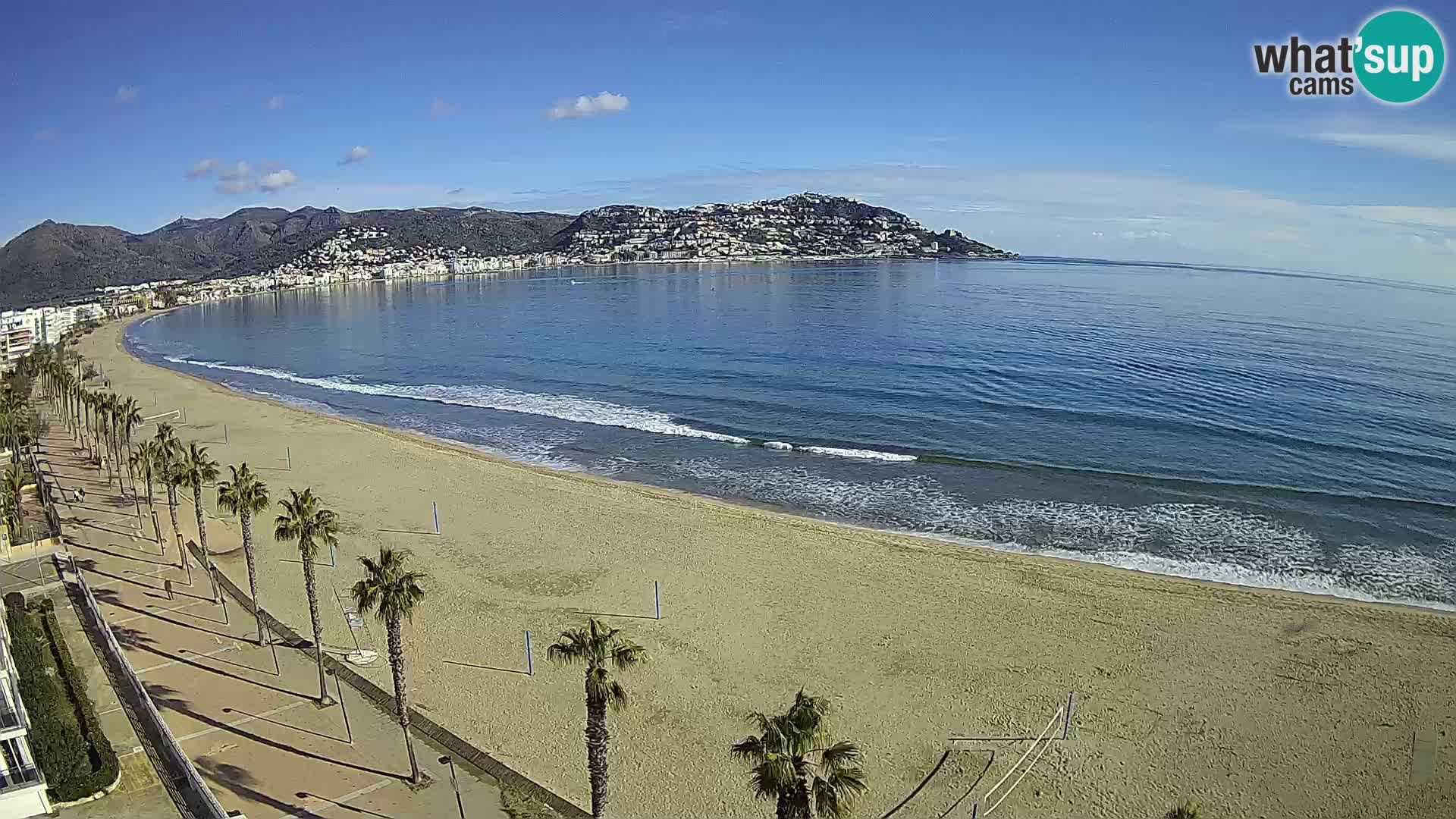 Webcam Roses 8 Ampliar imagen