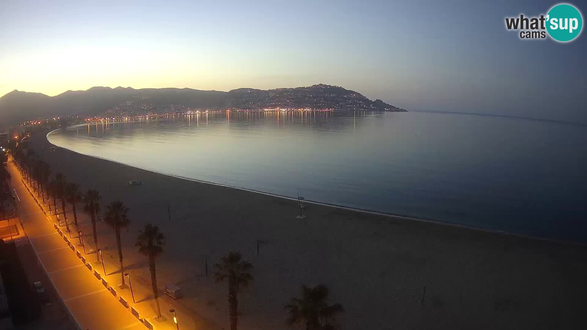 Webcam Roses 8 Ampliar imagen