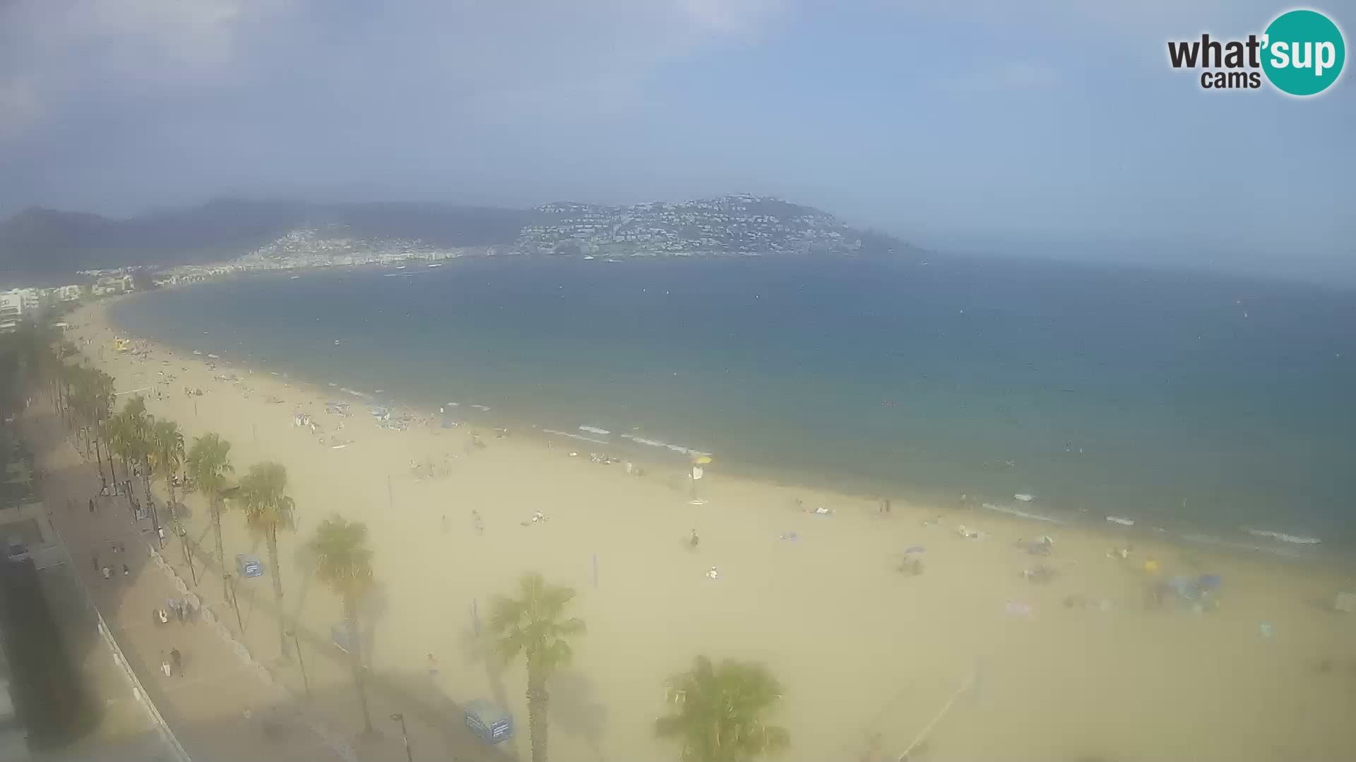 Webcam Roses 8 Ampliar imagen