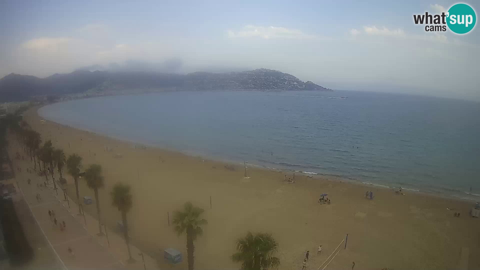 Webcam Roses 8 Ampliar imagen