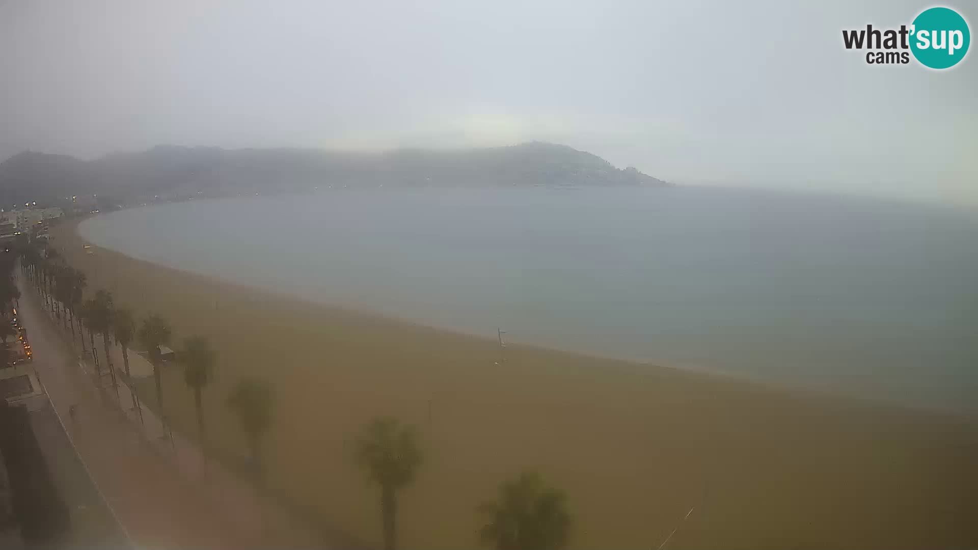 Webcam Roses 8 Ampliar imagen