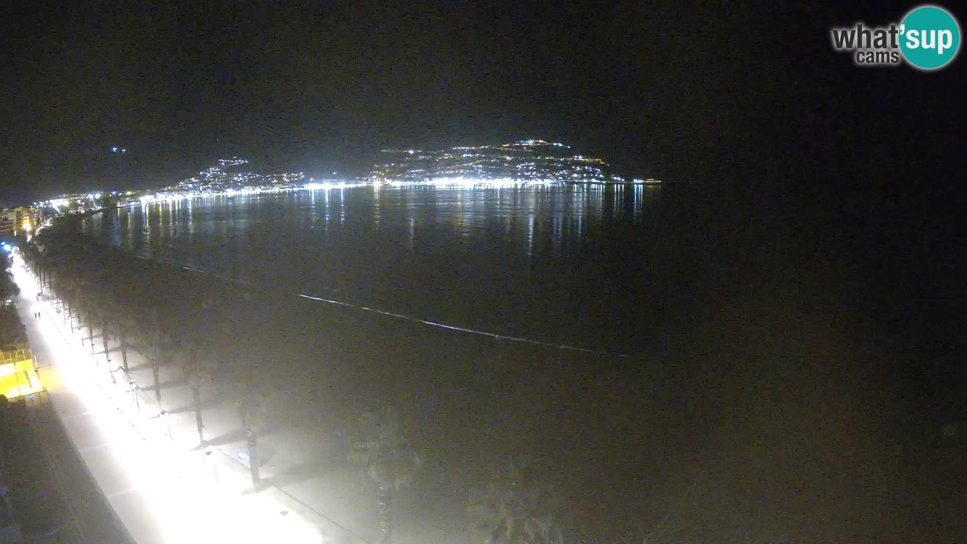 Webcam Roses 8 Ampliar imagen