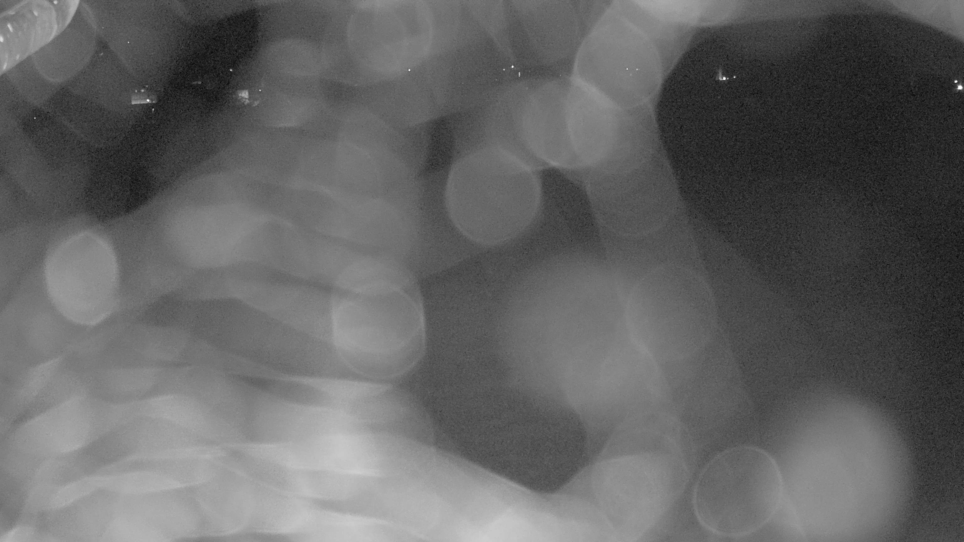 Ebnat-Kappel › Osten