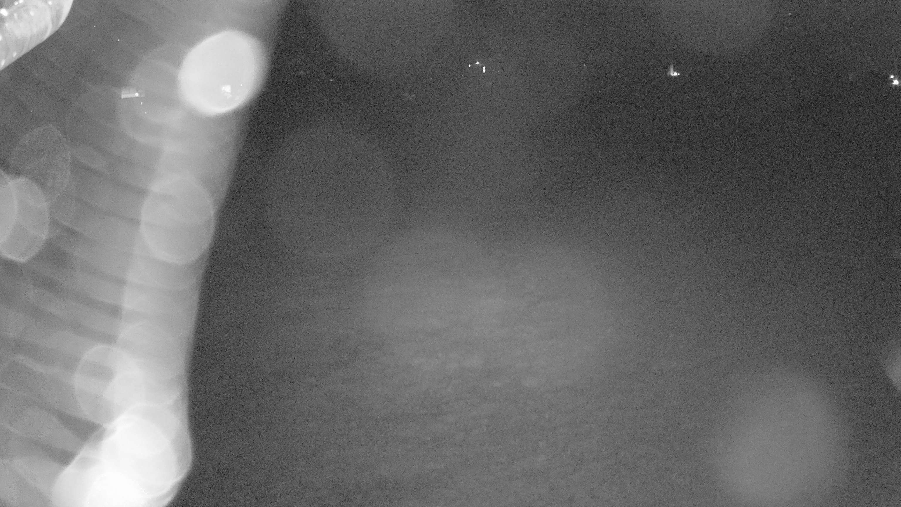 Ebnat-Kappel › Osten