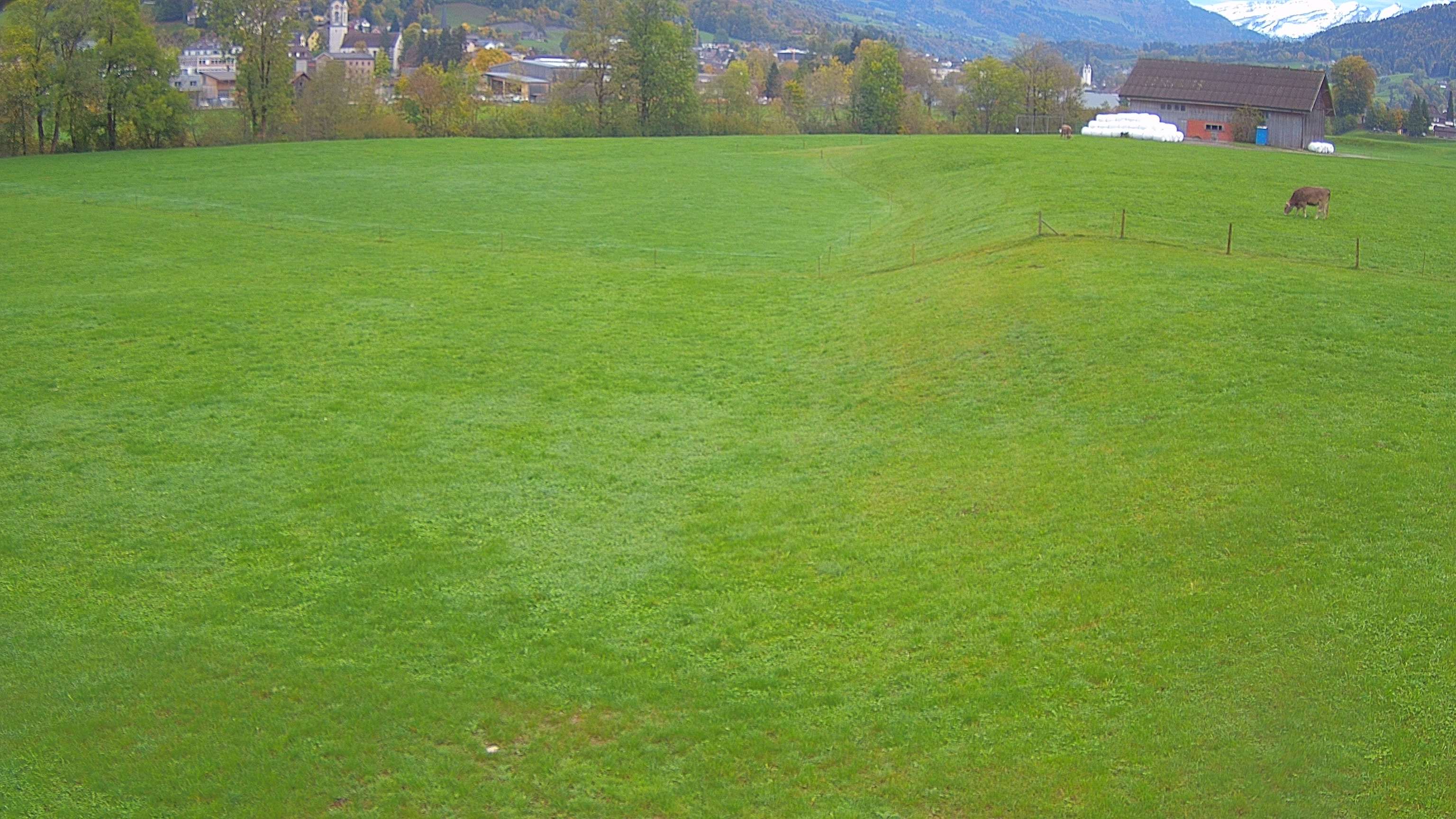 Ebnat-Kappel › Osten