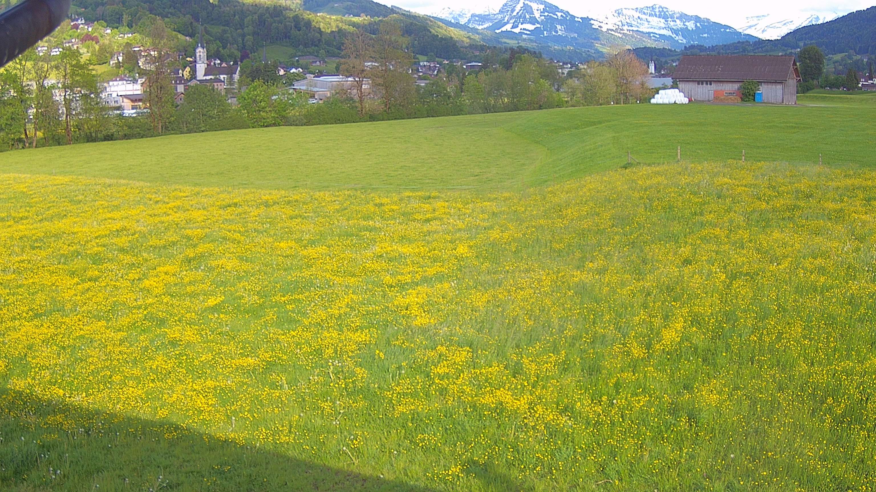 Ebnat-Kappel › Osten
