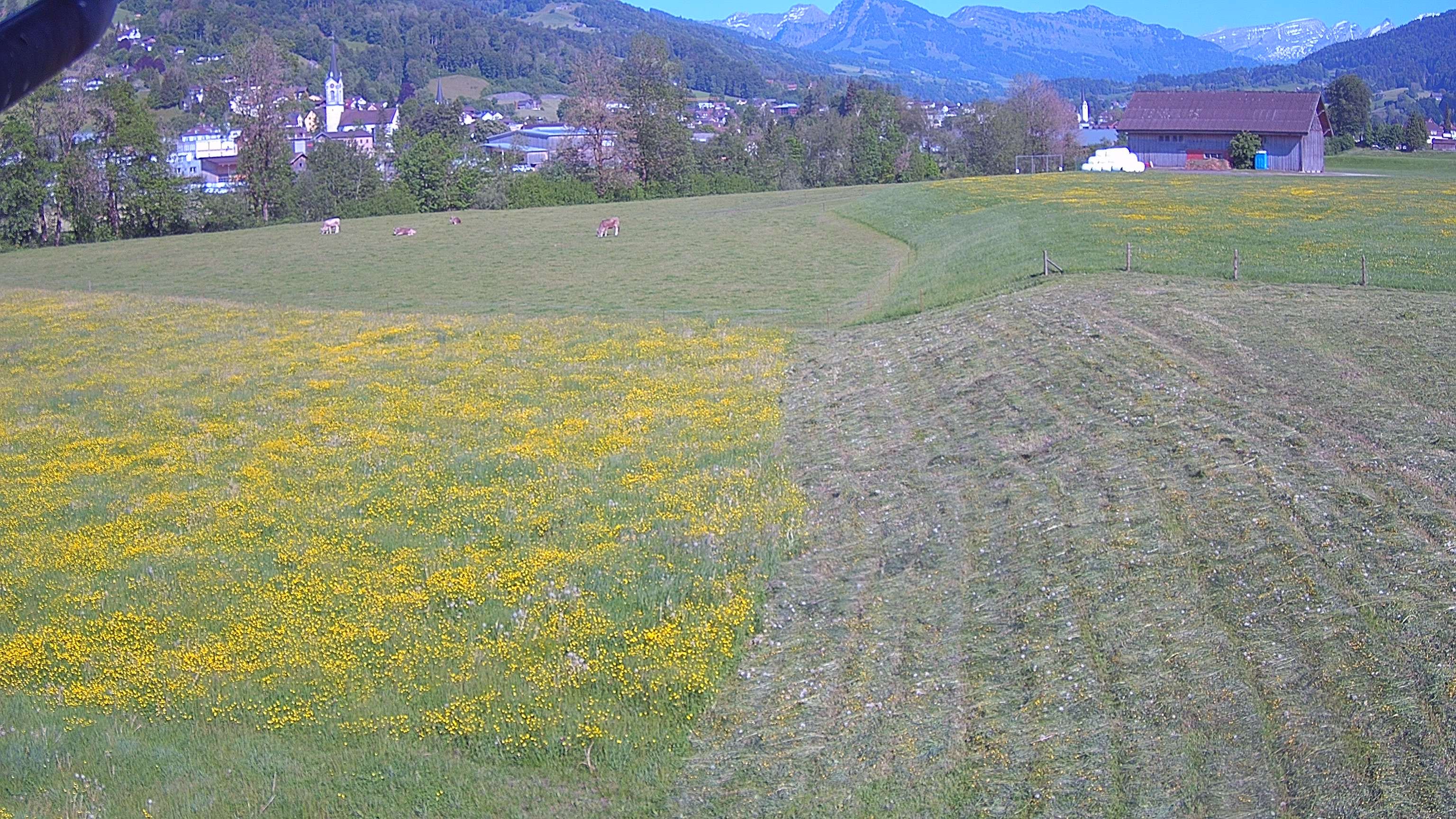Ebnat-Kappel › Osten