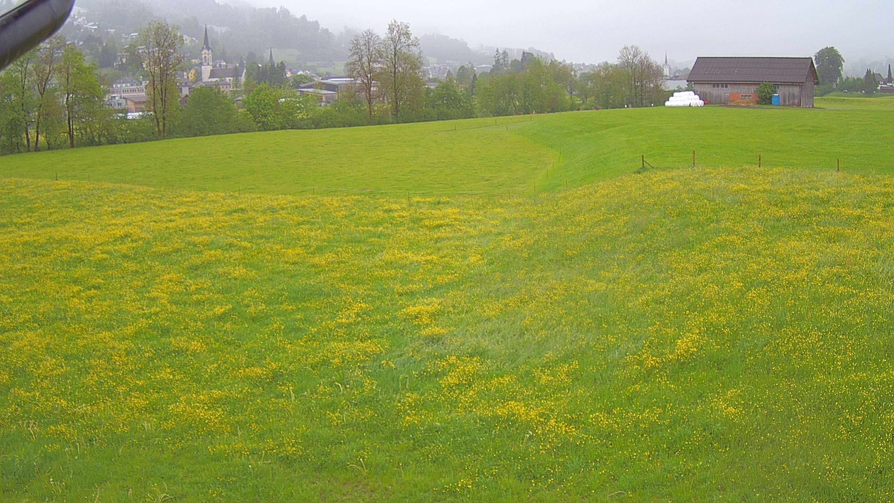 Ebnat-Kappel › Osten