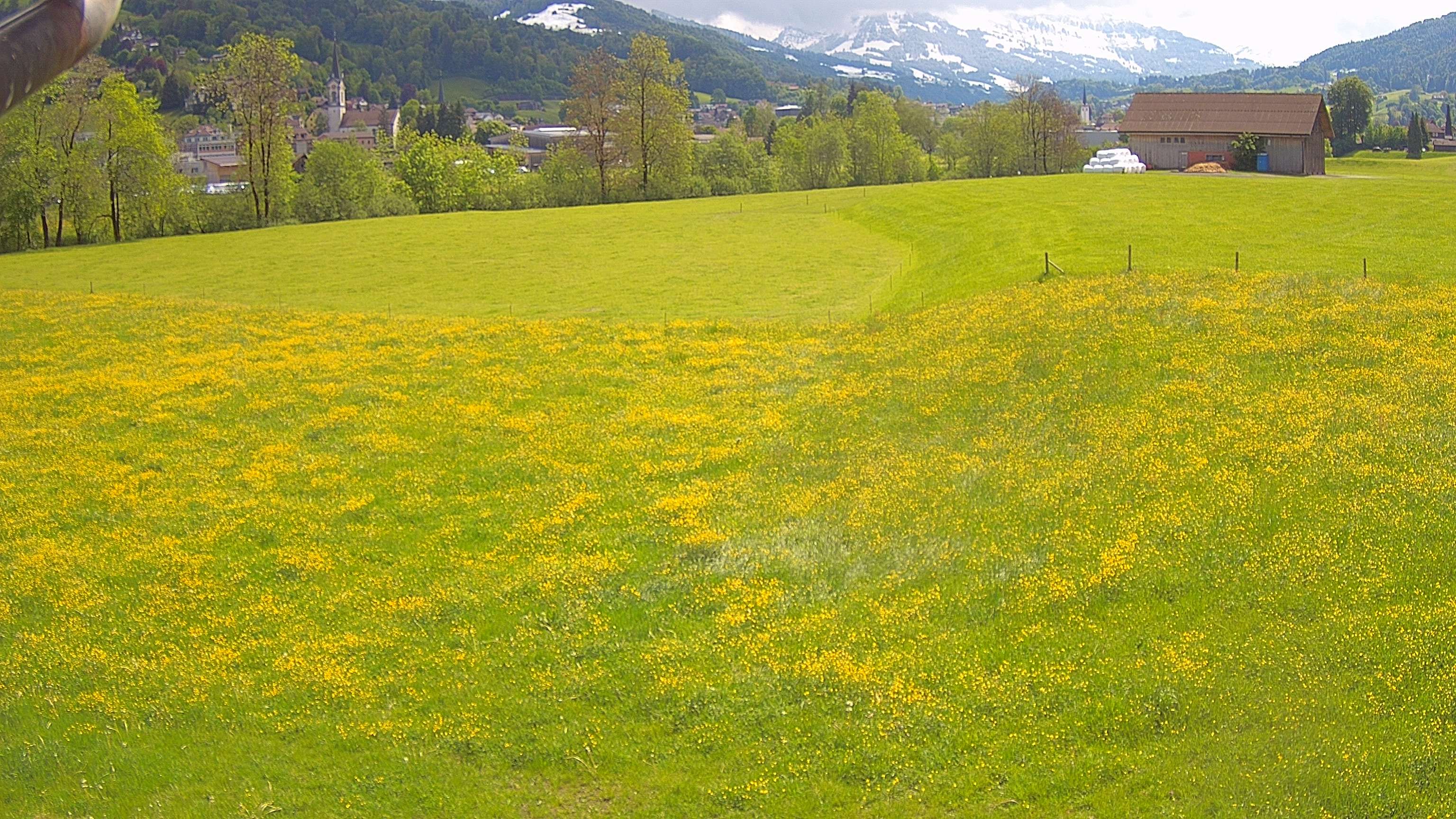 Ebnat-Kappel › Osten