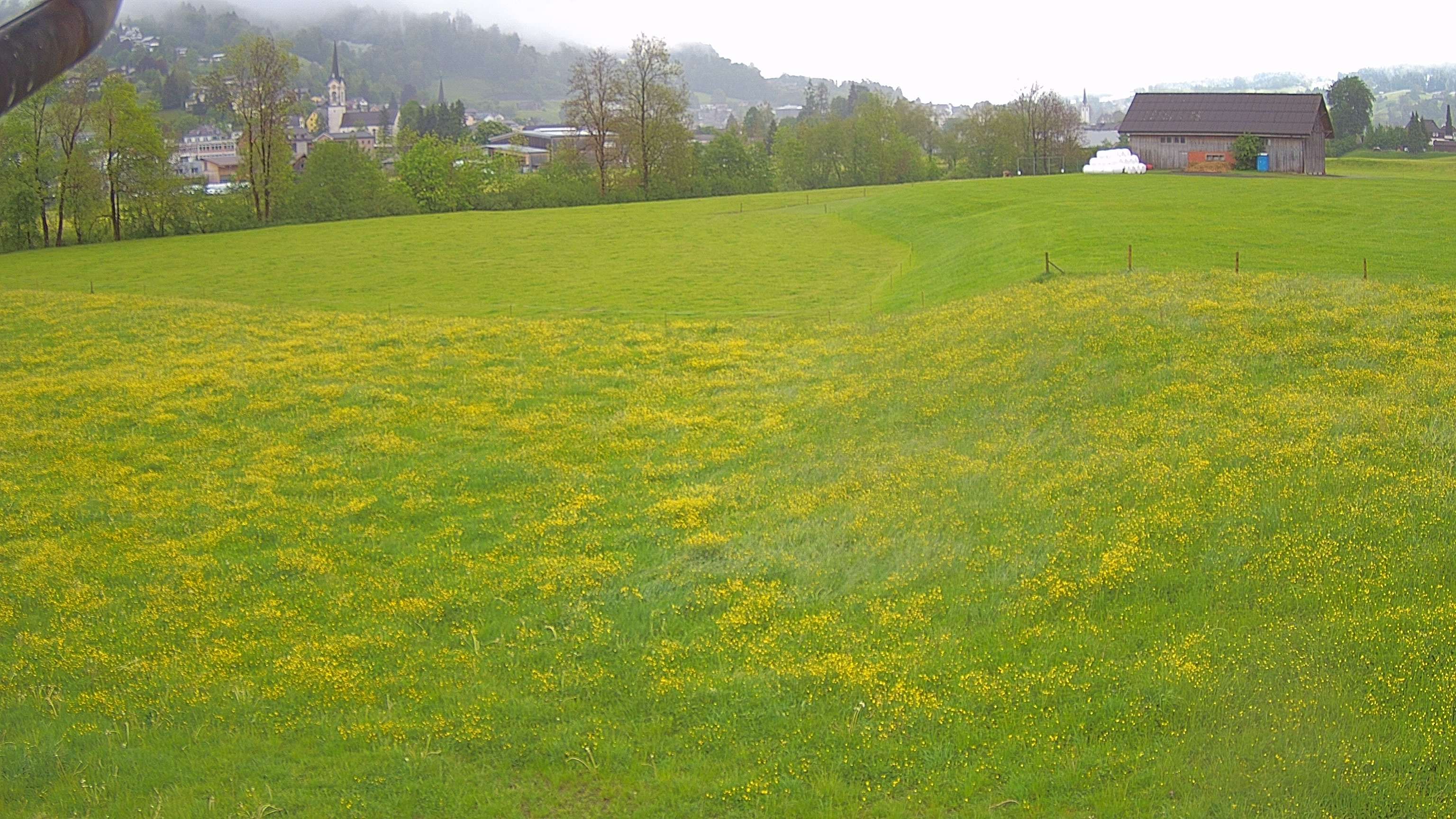 Ebnat-Kappel › Osten