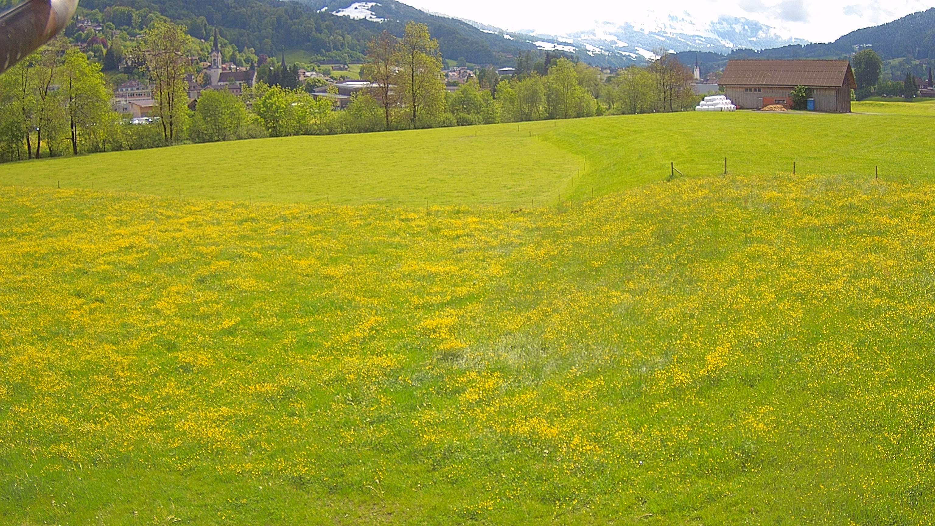 Ebnat-Kappel › Osten