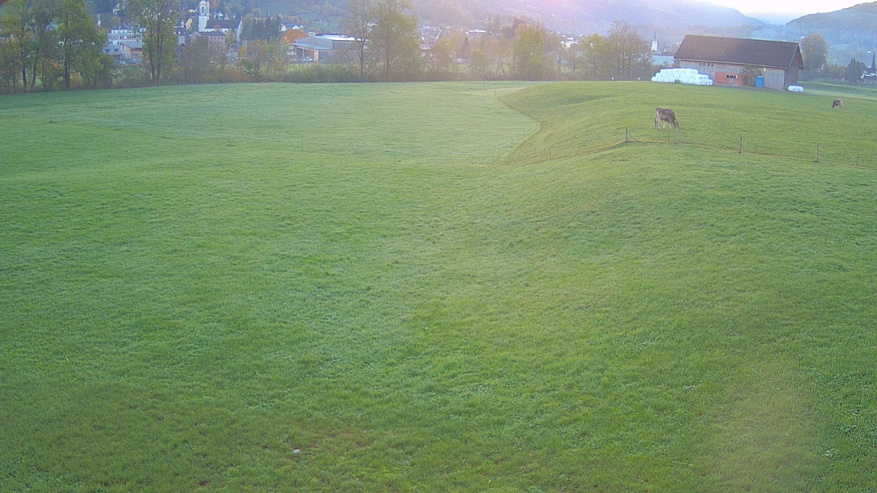 Ebnat-Kappel › Osten