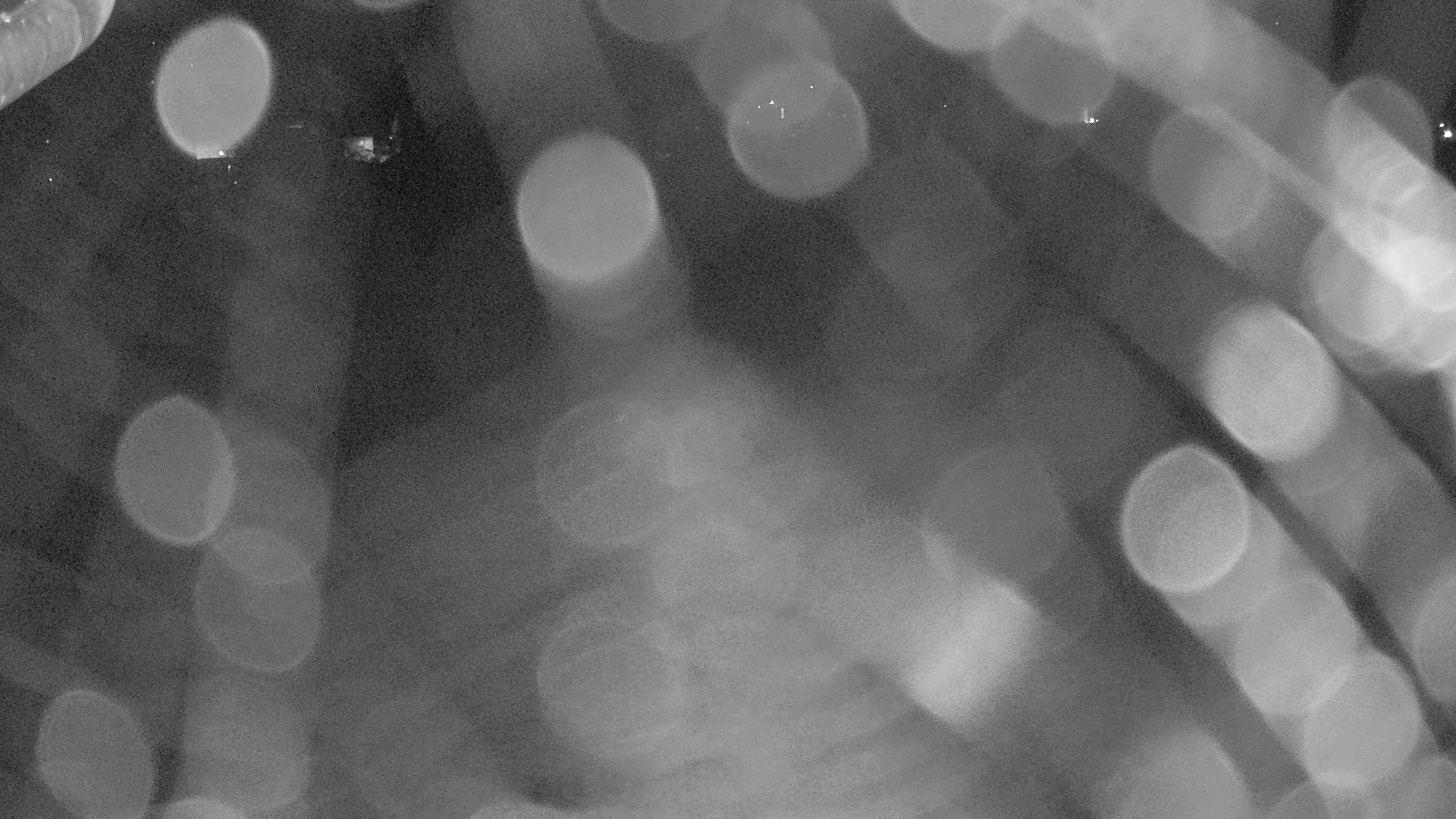 Ebnat-Kappel › Osten