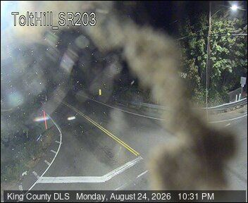 Traffic Cam Carnation