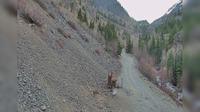 Ouray: Webcam 3.5 miles South US550 Webcam East by CDOT - Recent