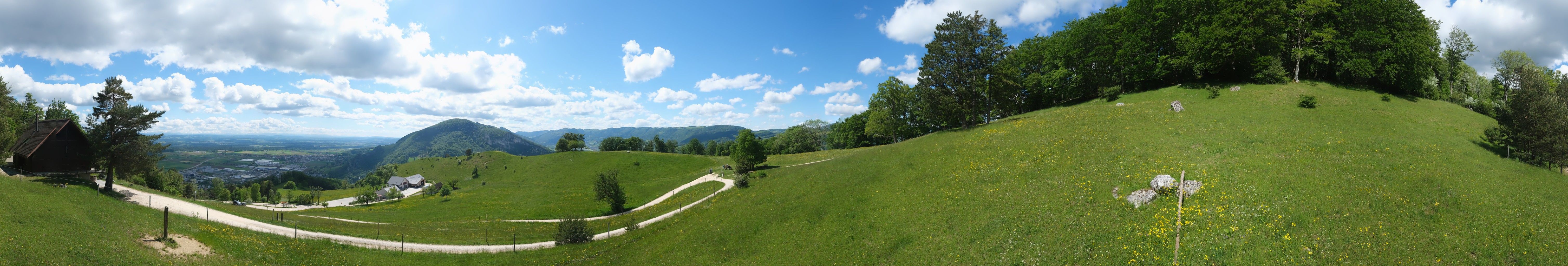 Oensingen: Oensinger Roggen: Roggenberg