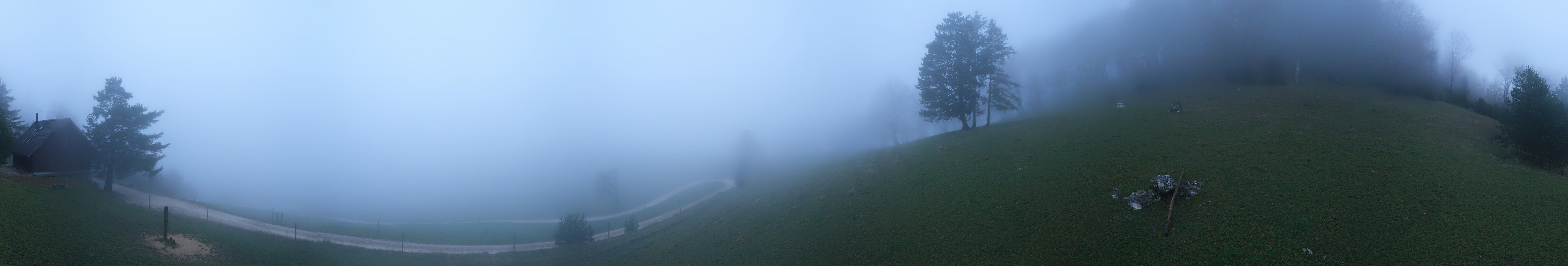 Oensinger Roggen: Roggenberg