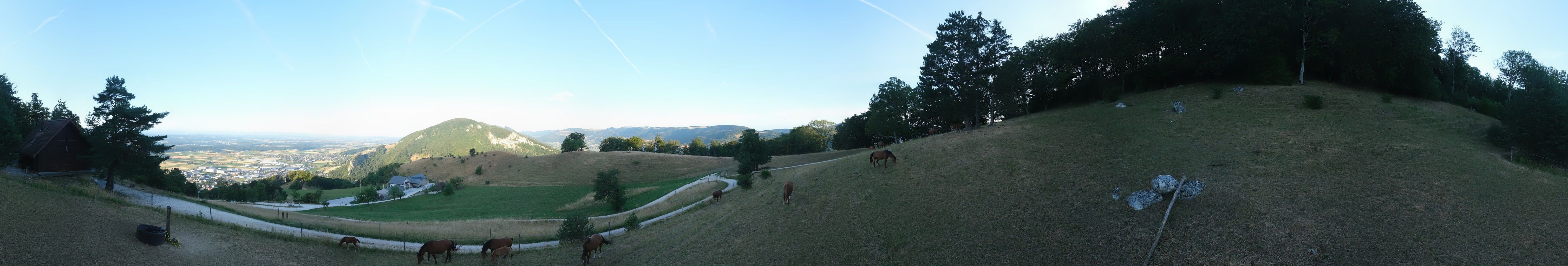 Oensingen: Oensinger Roggen › Nordwesten: Roggenweid Balsthal
