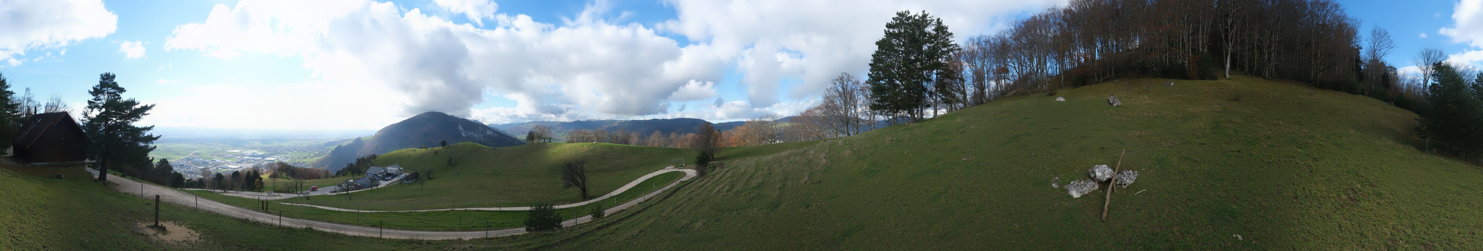 Oensinger Roggen: Roggenberg