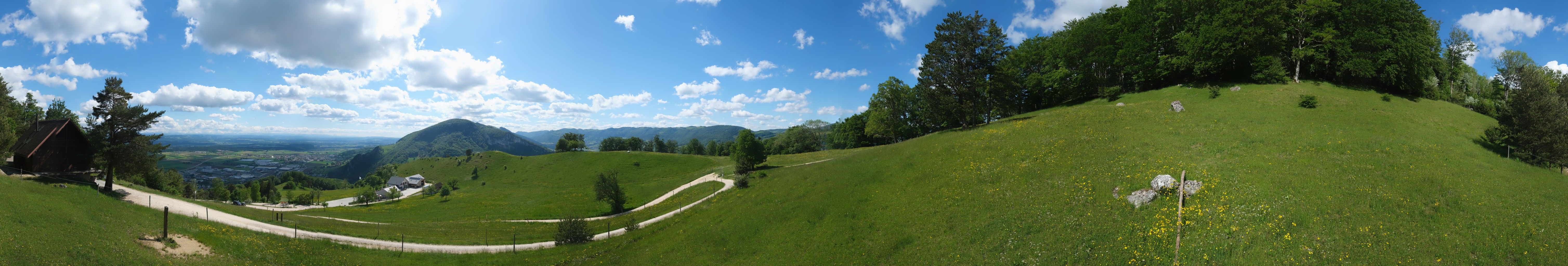 Oensingen: Oensinger Roggen: Roggenberg