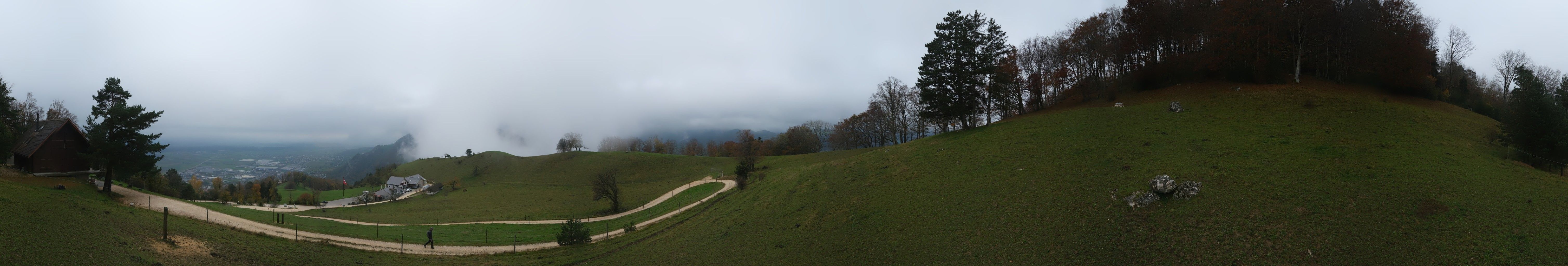 Oensinger Roggen: Roggenberg