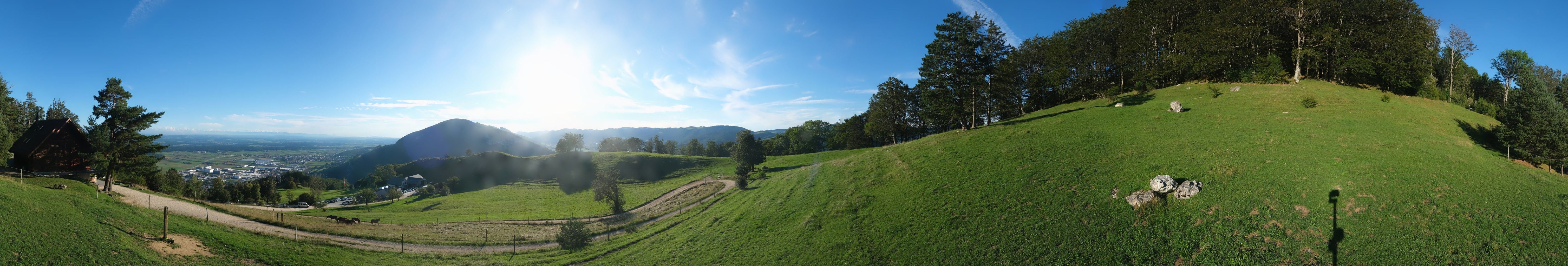 Oensinger Roggen: Roggenberg