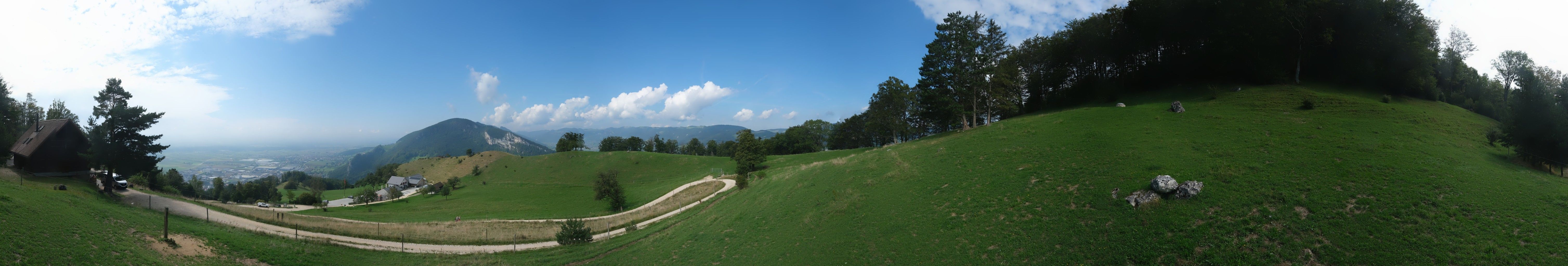 Oensinger Roggen: Roggenberg