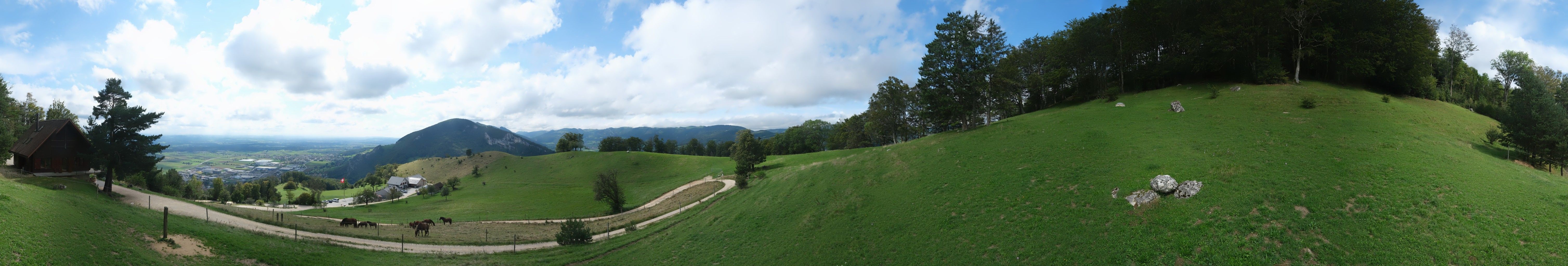 Oensinger Roggen: Roggenberg