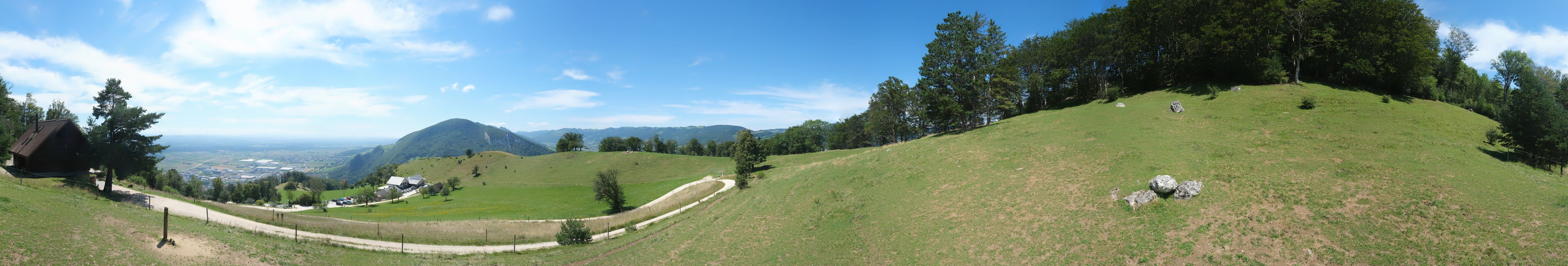 Oensinger Roggen: Roggenberg