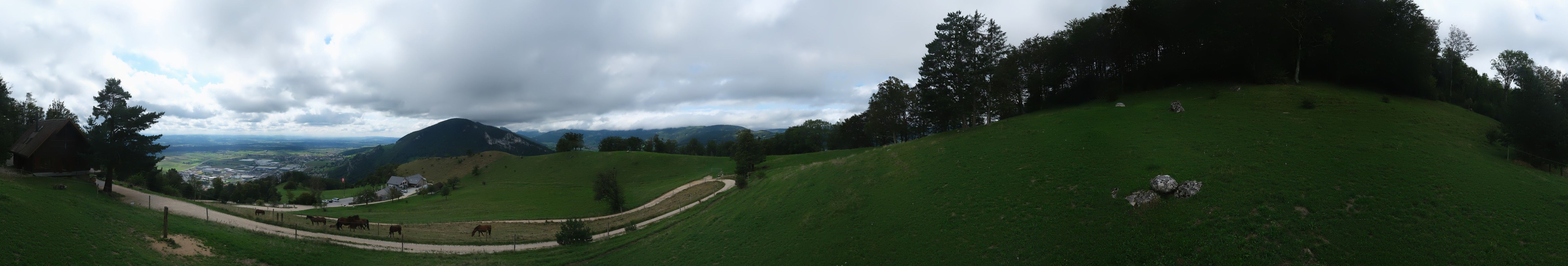 Oensinger Roggen: Roggenberg