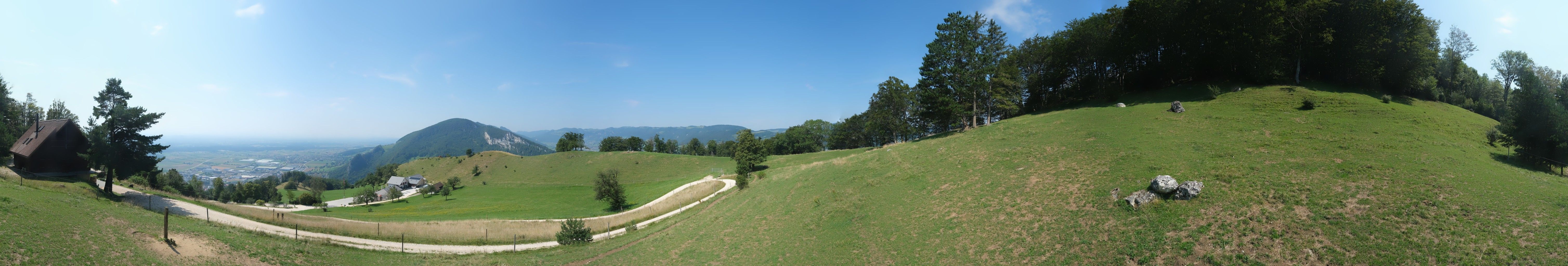 Oensinger Roggen: Roggenberg