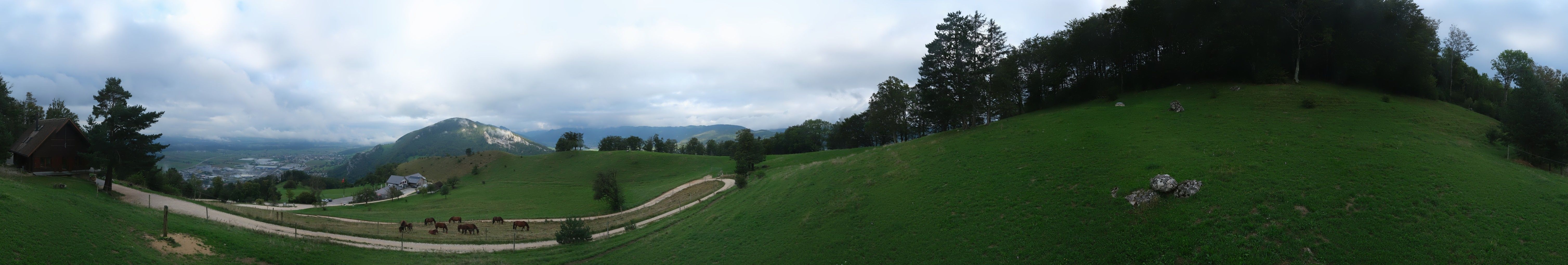 Oensinger Roggen: Roggenberg