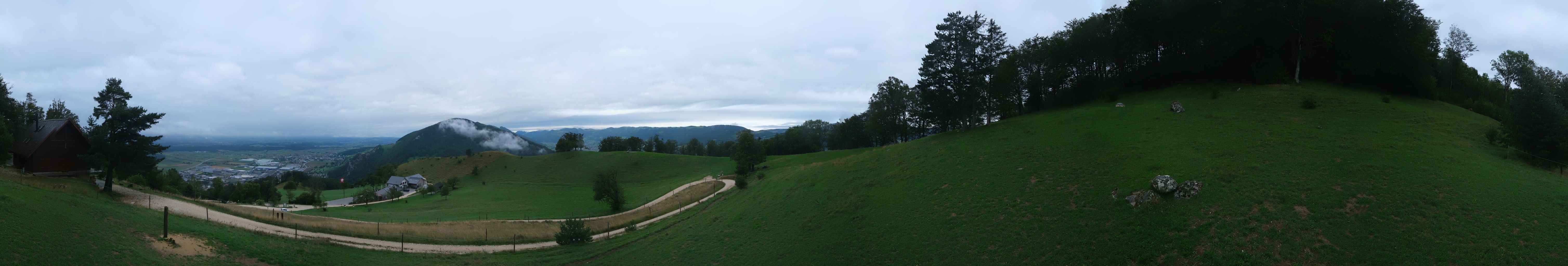 Oensinger Roggen: Roggenberg