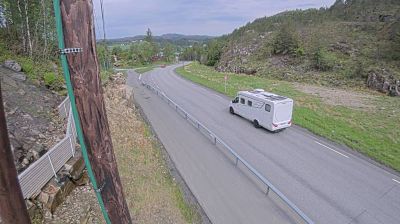 Skogsvågen i dag
