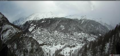 Zermatt: Edelweiss