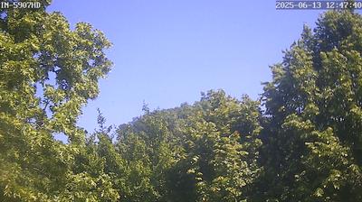 Pretzschendorf weather webcam