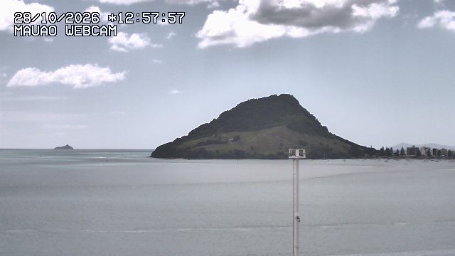 Tauranga during daytime