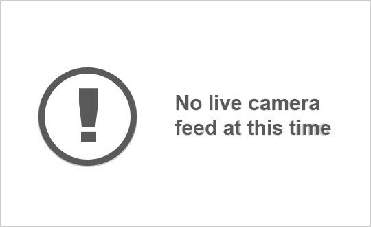 Traffic Cam Jersey City › West: -T (MM .) WB E of Hackey Brdg