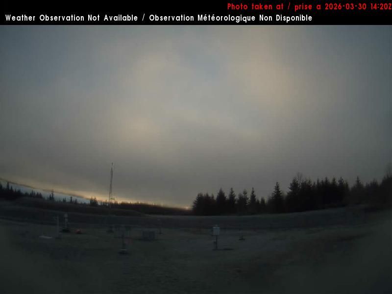 Traffic Cam Great Central: Port Alberni southeast