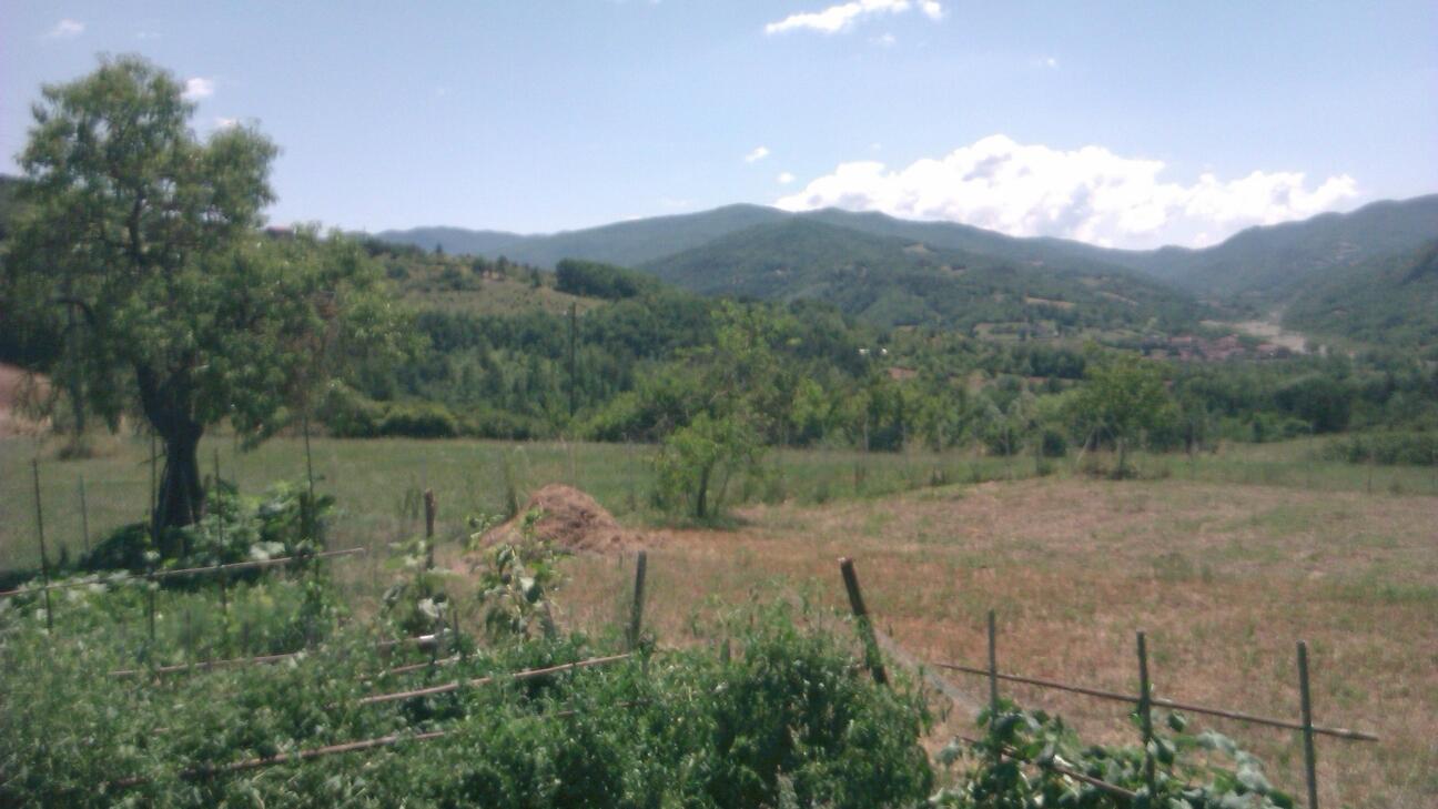 Cantalupo Ligure: Mountain Landscape View Webcam
