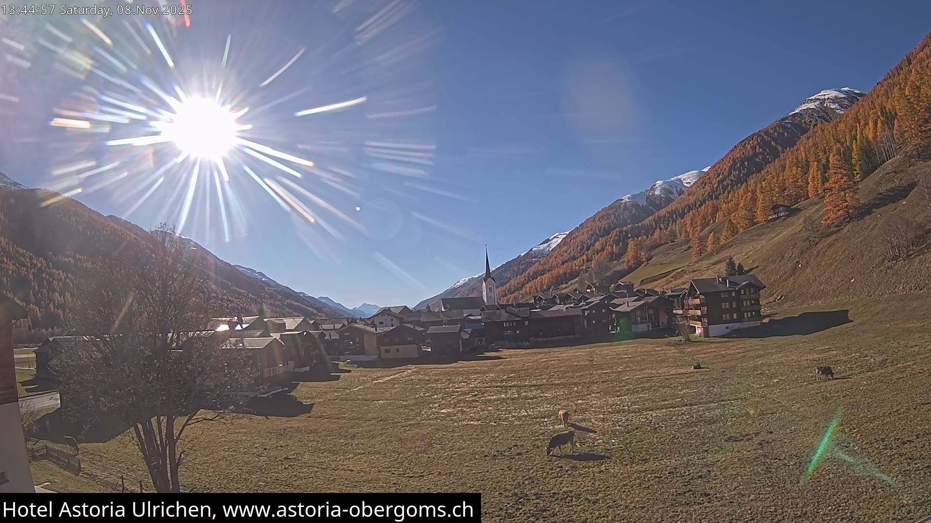 Ulrichen: Hotel Astoria mit Panoramablick über - Obergoms - Goms