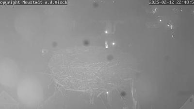 Riedfeld other webcam
