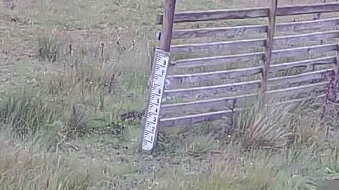 Newbiggin › South-West: Weardale Ski Club - England's Longest Ski Slope