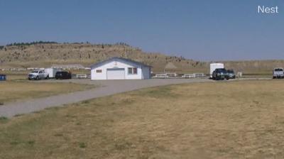 Billings today
